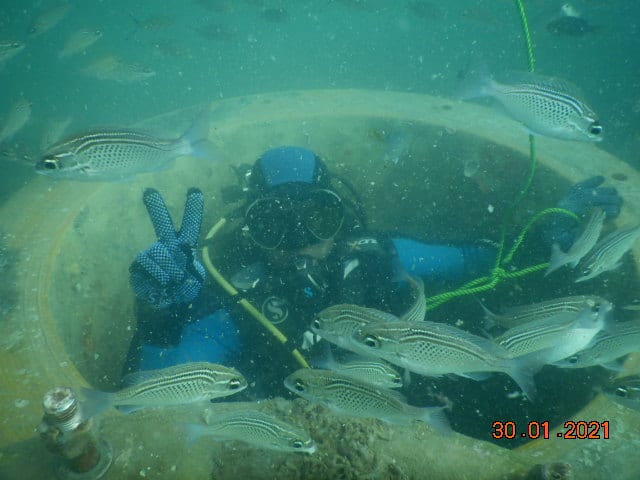 Diving inside a pipeline