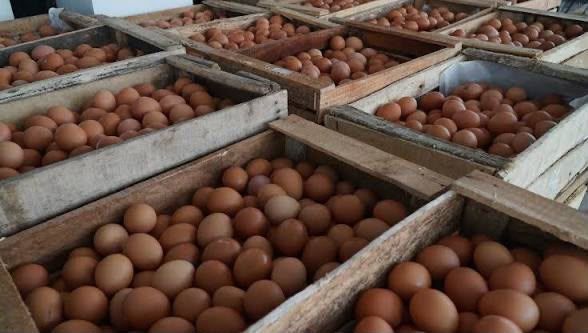 Kampung Eggs