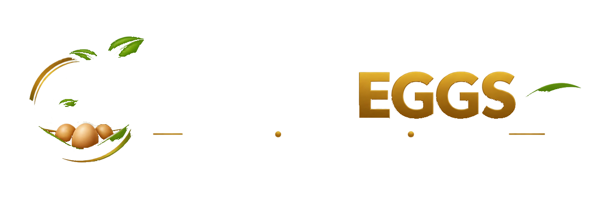 AS FRESH EGGS