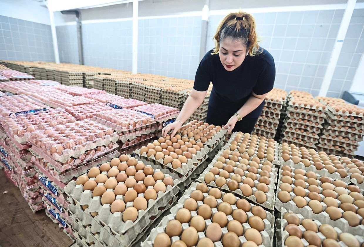 Jumbo Eggs