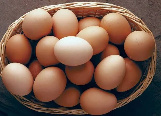 Fresh Table Eggs