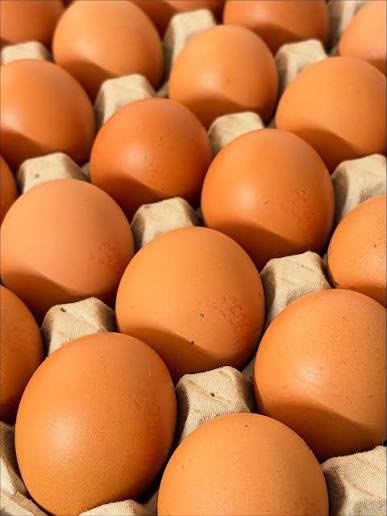 Duck Eggs