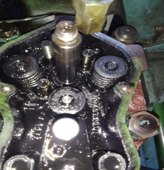 Marine Zambezi engine work