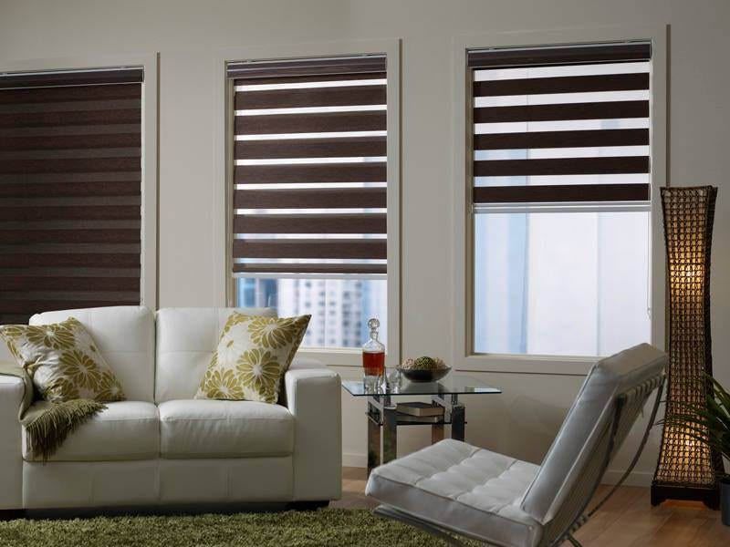 Zebra Roller Blind