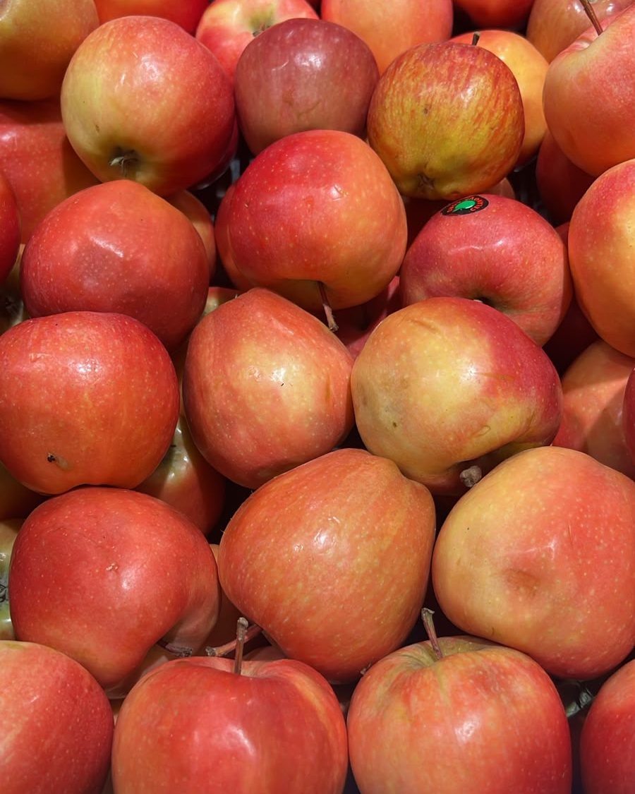 Apple Royal Gala (Serbia)