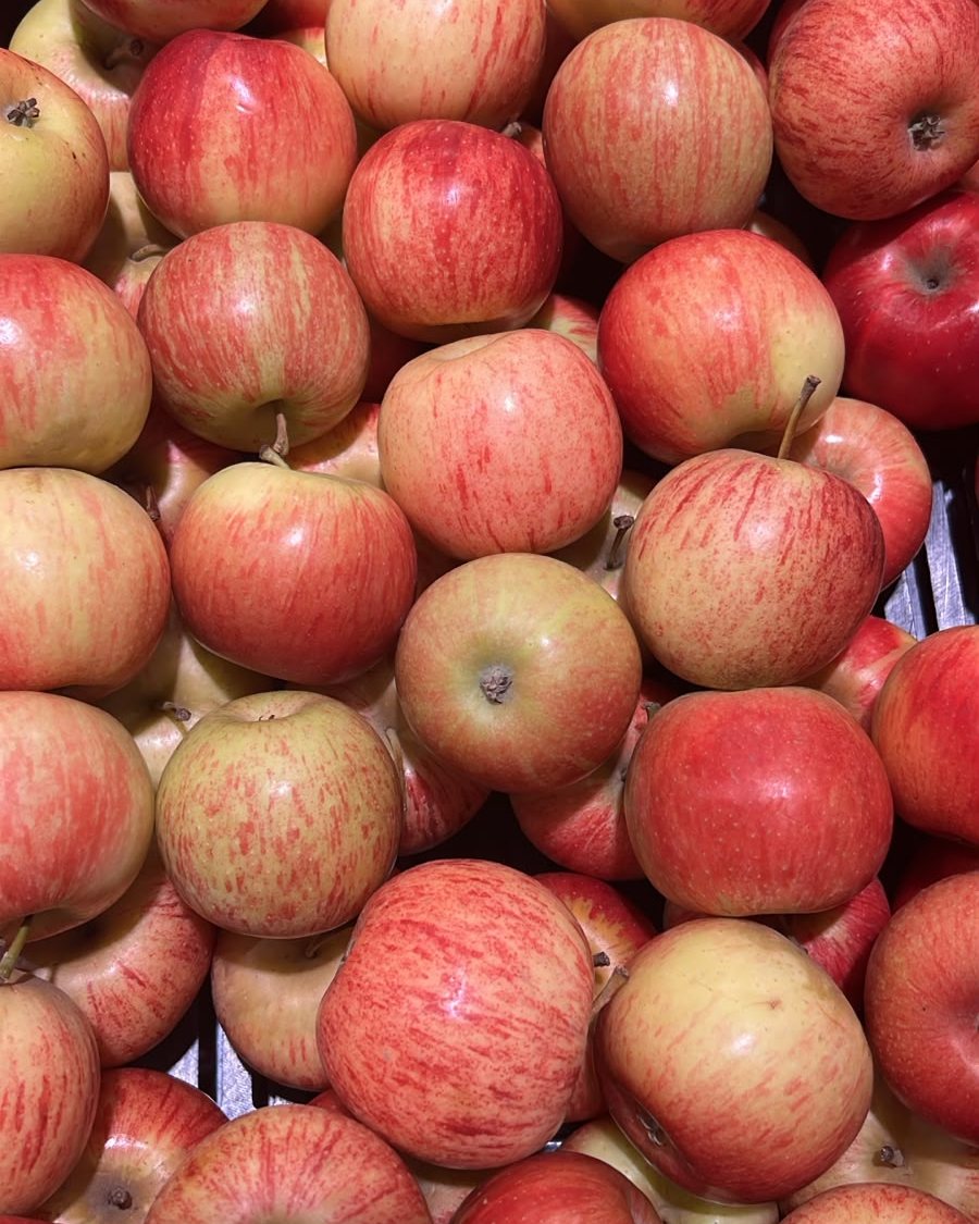 Apple Royal Gala Small