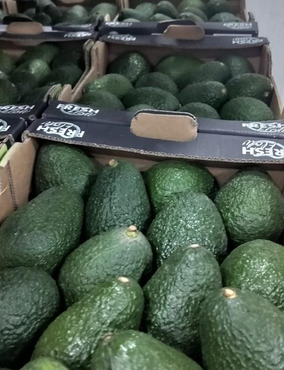 Avocado (Hass)