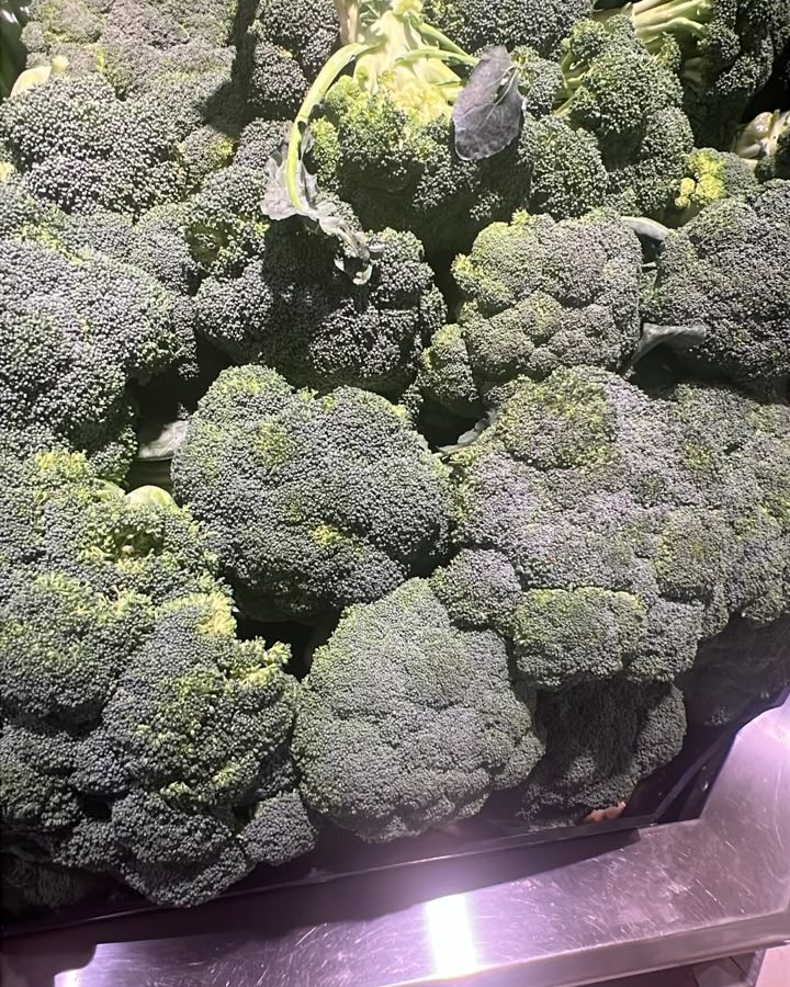Broccoli
