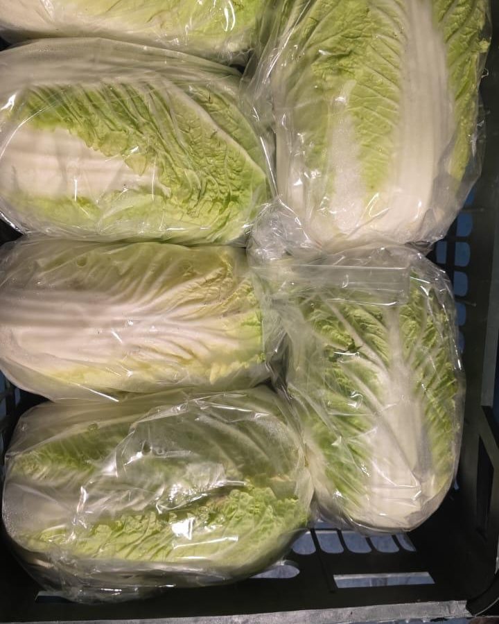 Chinese Cabbage