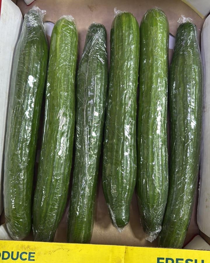 Chinese Cucumber