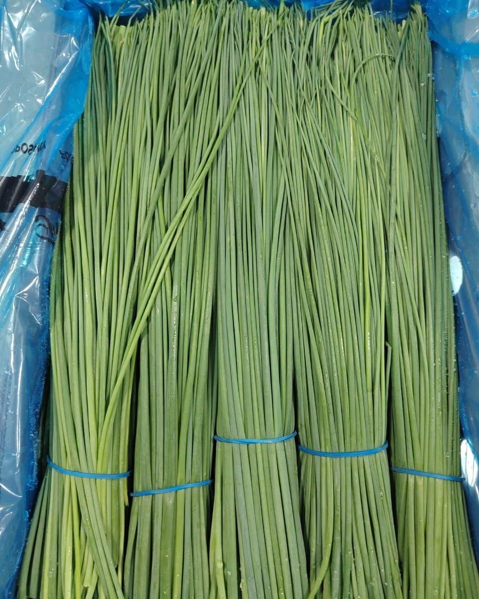 Chives
