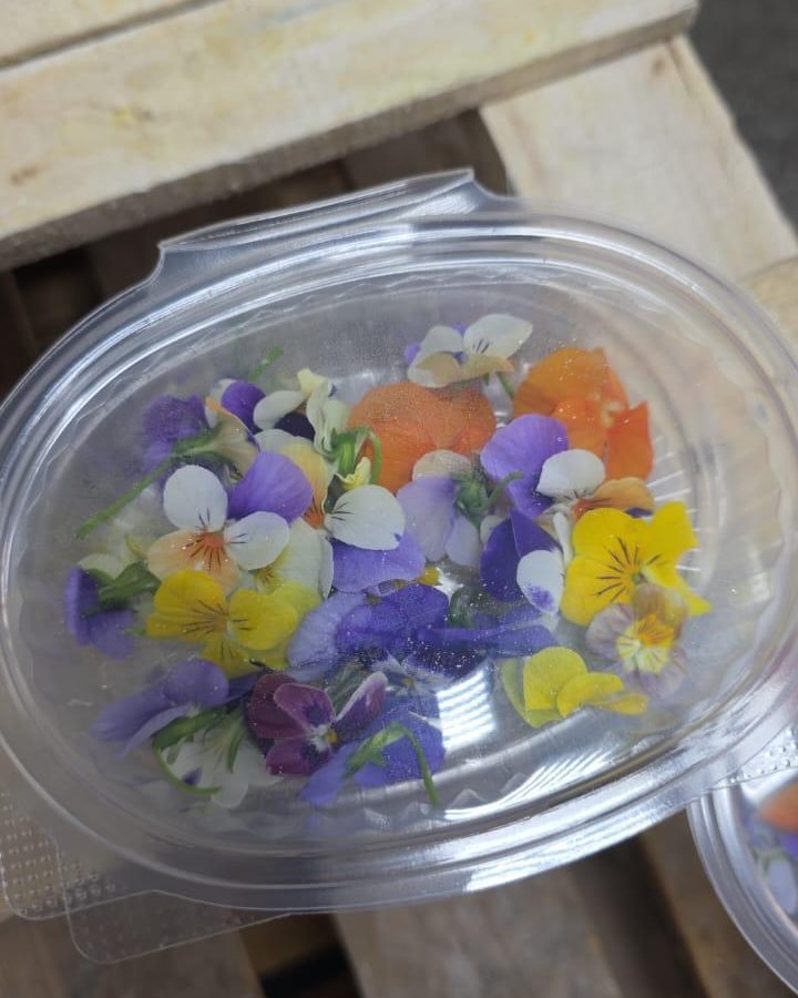 Edible Flowers