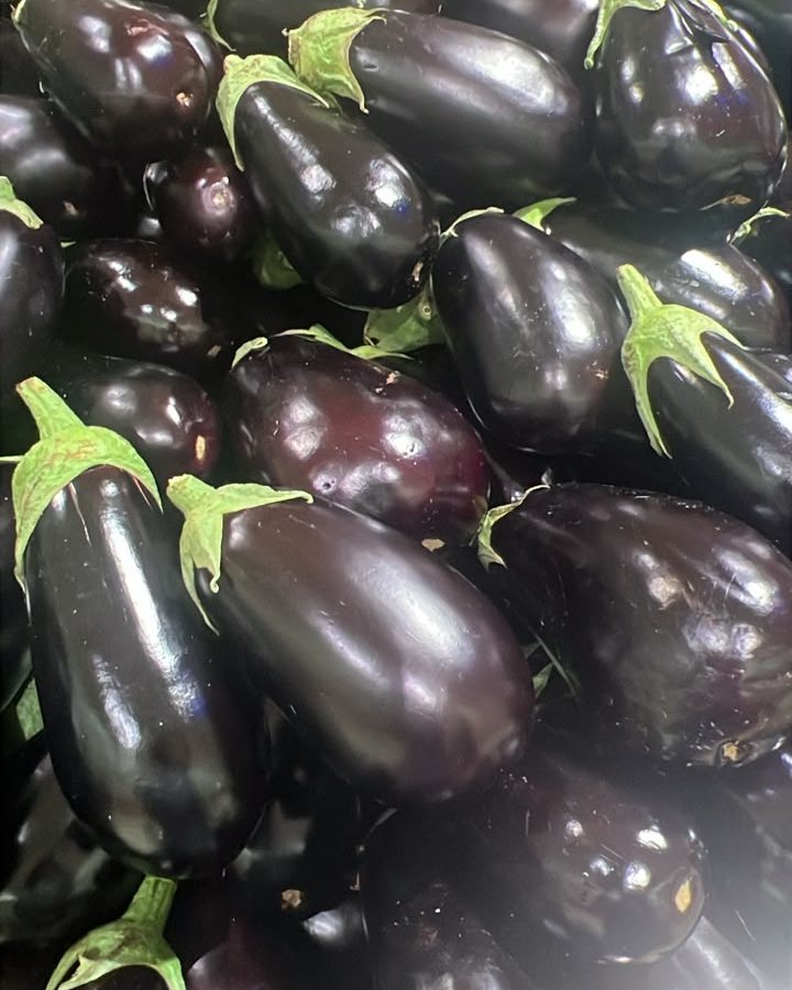 Eggplant