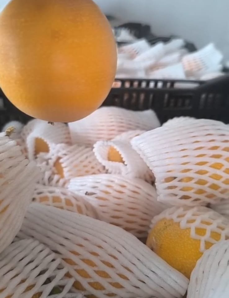 Granadilla (Sweet Passion Fruit)