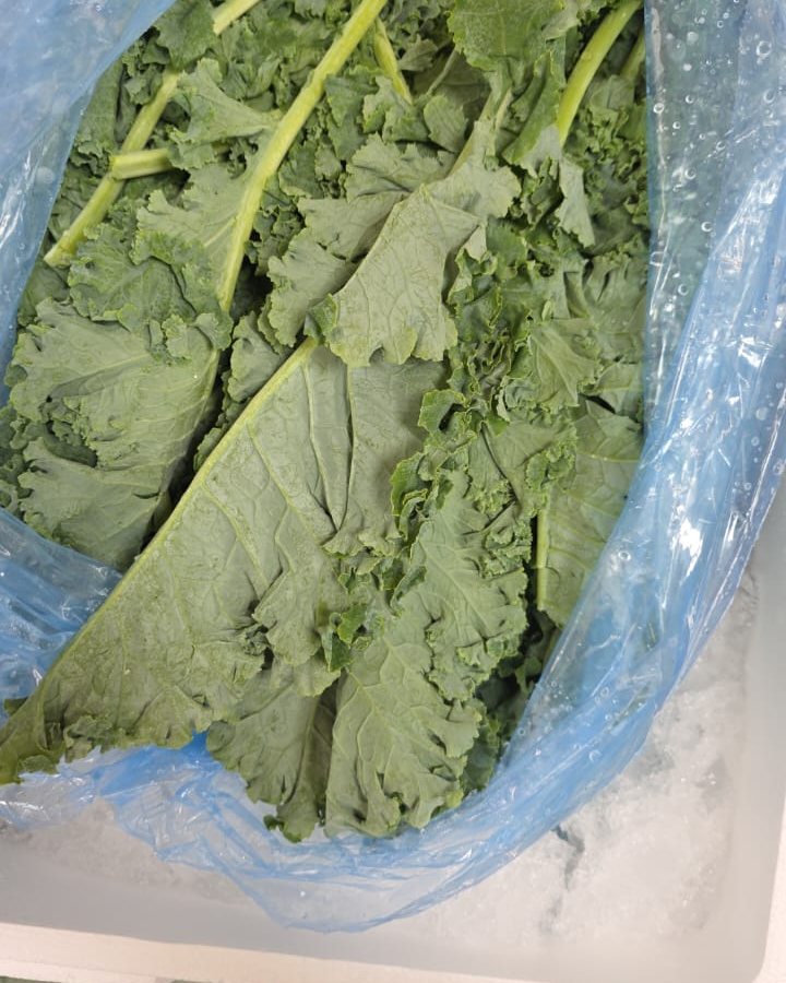 Kale