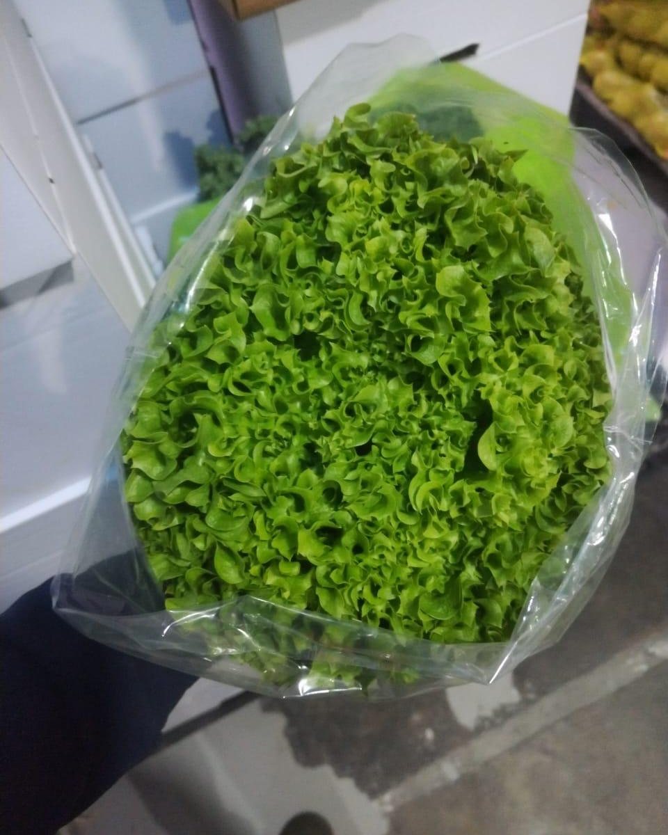 Salad & Leafy Greens