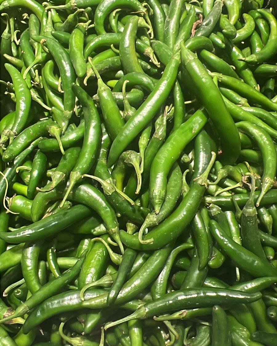 Long Green Chilli