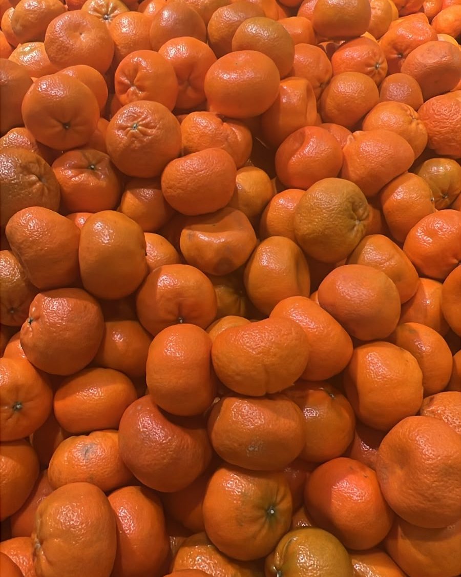Nadorcott Mandarin