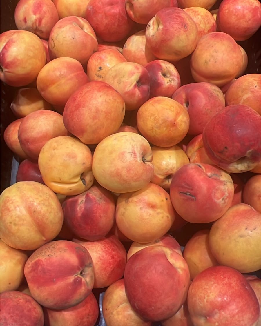 Nectarine