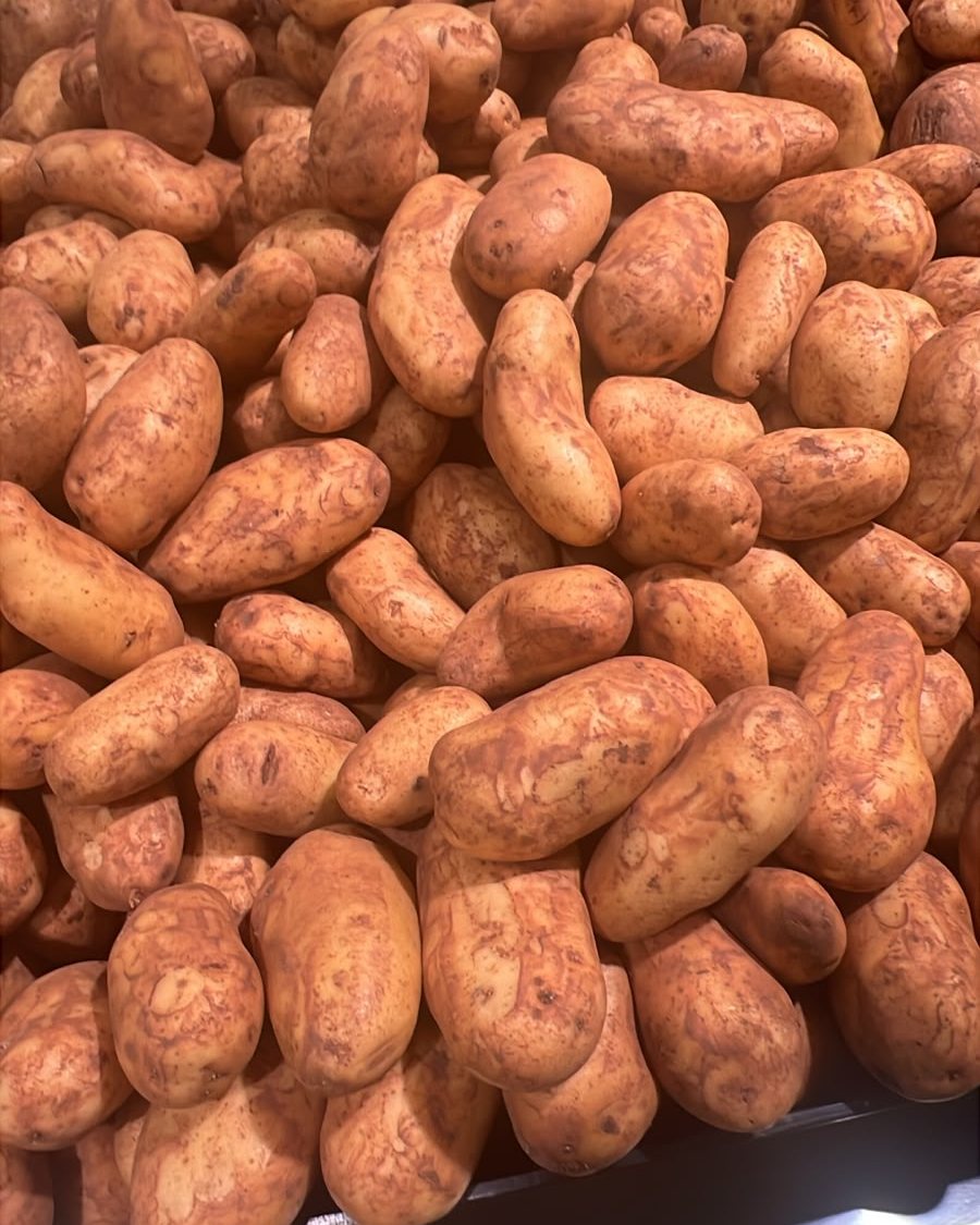 Potato (Lebanon)