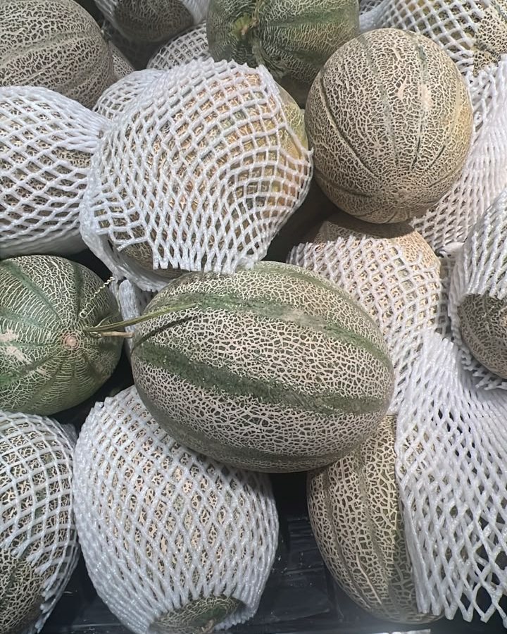 Rock Melon