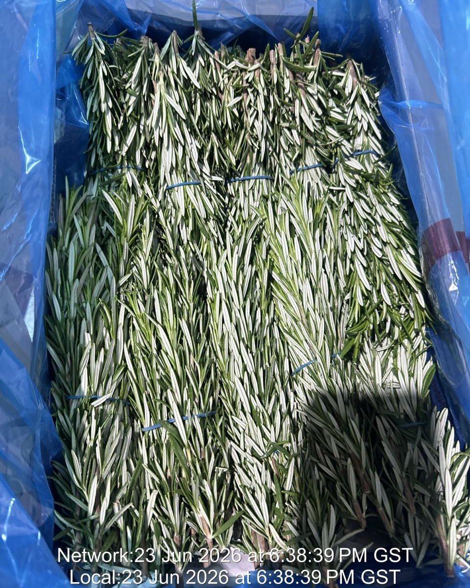 Rosemary