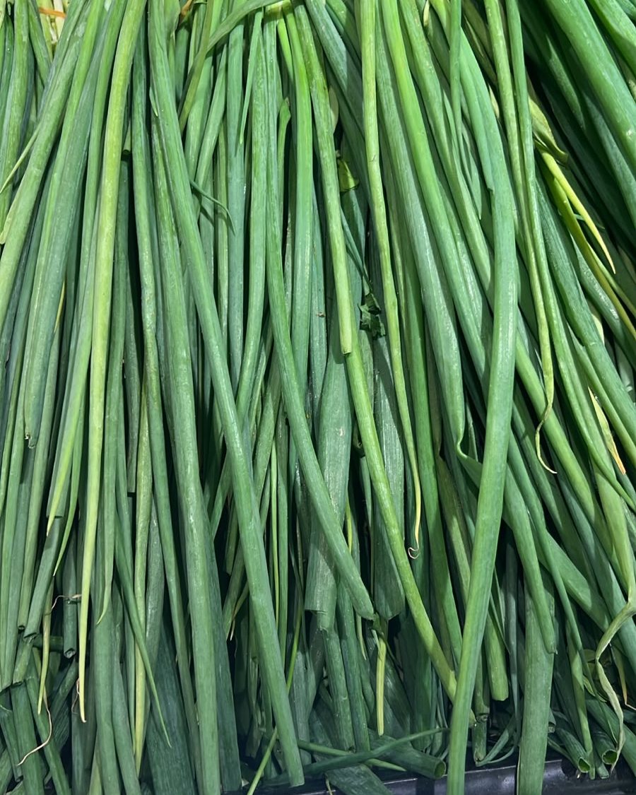 Spring Onion