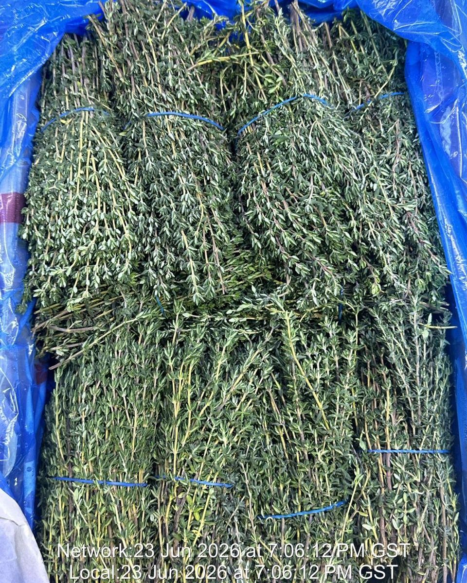 Thyme