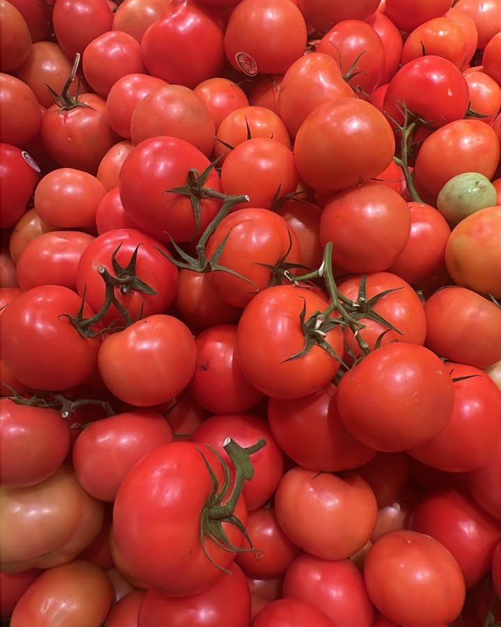 Tomato