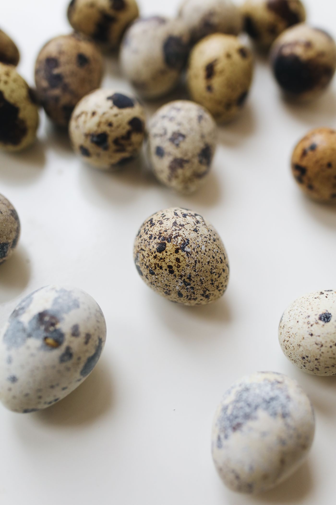 Quail Eggs