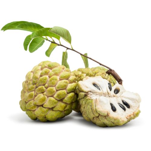 Custard Apple