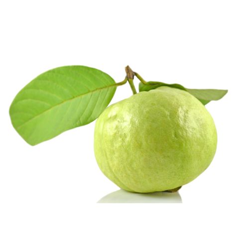 Guava