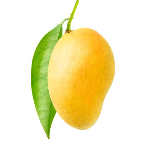 Mengo