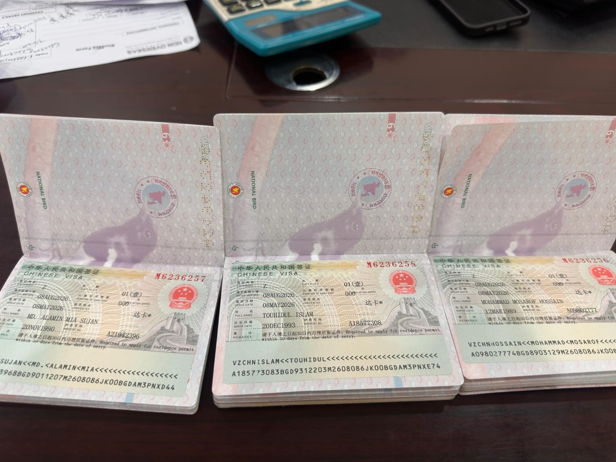 China Visa (Z category, work)