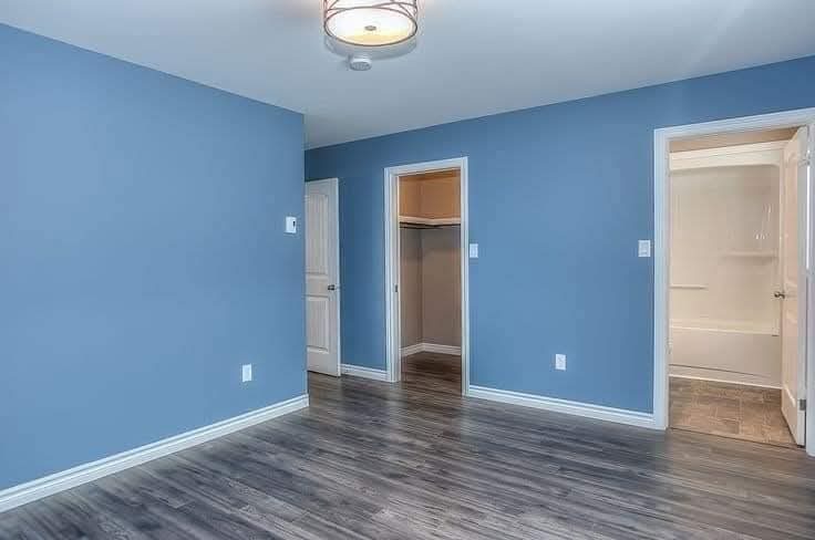 House Painting & Plastering