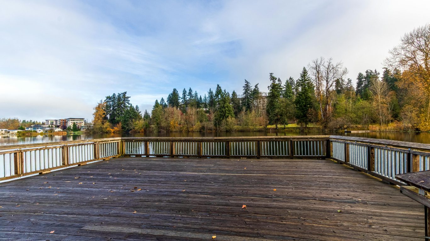 Timber & WPC Decking
