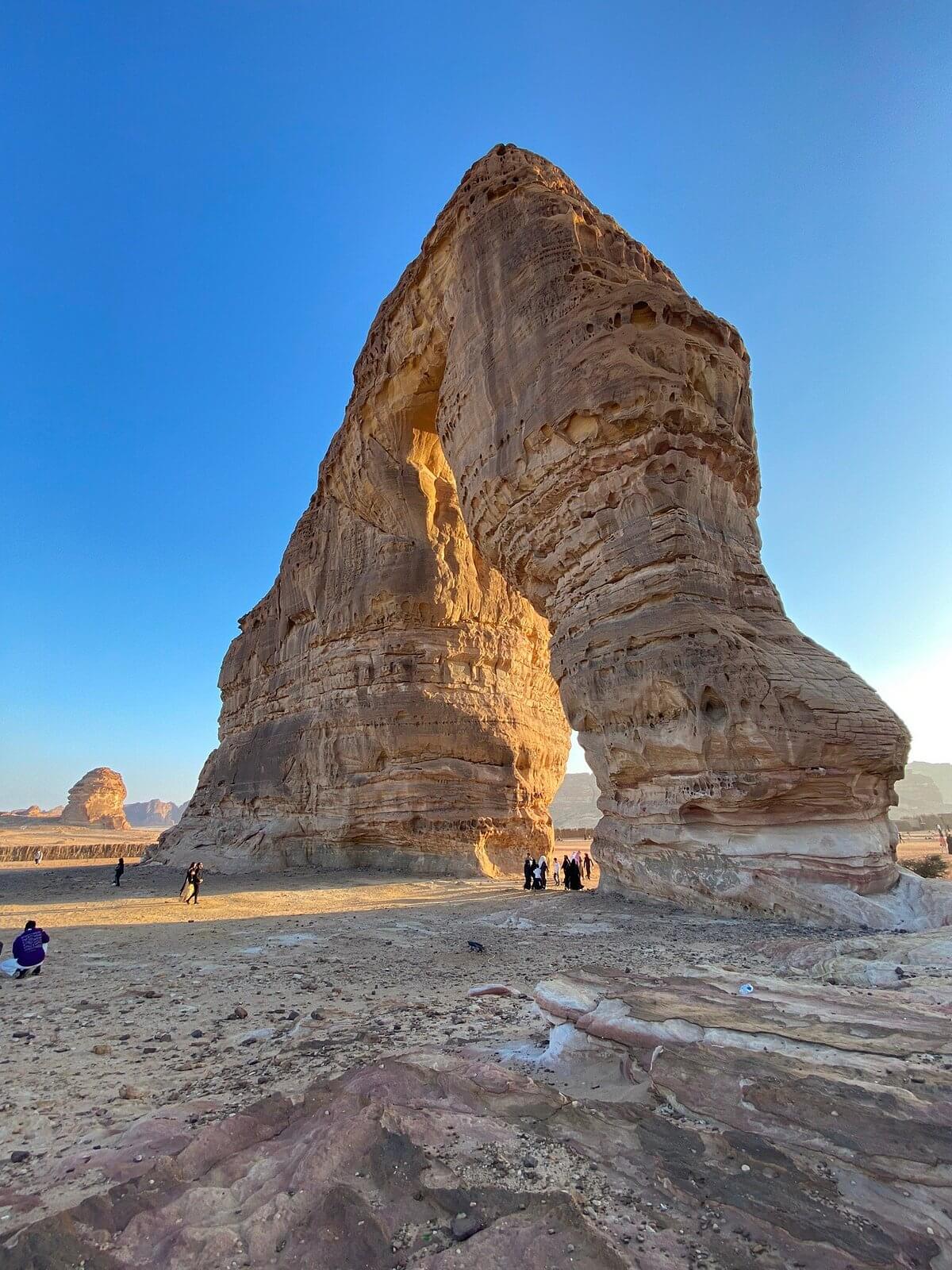 Winter AlUla Special