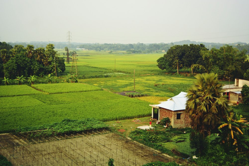 Bangladesh